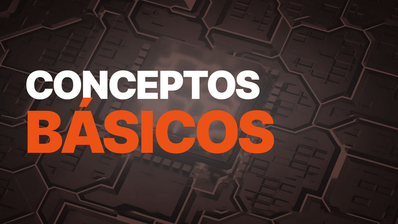 Conceptos Básicos